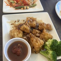 Fried Crispy Calamari Fried Crispy Calamari