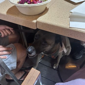 King Tuts - Outdoor dining patio - dog and family friendly! - Food Trucks Near Me - Nashville, Tennessee