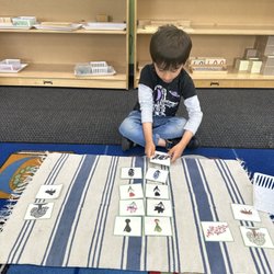 Little Flowers Montessori