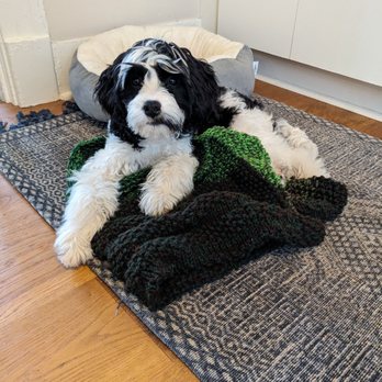 Paws4Training - Pet Training Near Me - Seattle, Washington Paws4Training - Pet Training Near Me - Seattle, Washington
