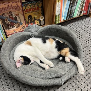 Twice Sold Tales - Bookstores Near Me - Seattle, Washington Twice Sold Tales - Bookstores Near Me - Seattle, Washington
