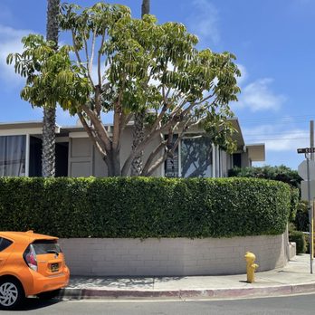 Rod's Tree Service - After - Tree Services Near Me