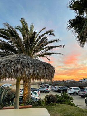Las Olas by null