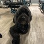 Photo of SPARK45 Fitness
