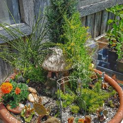 Hidden Hill - Fairy Garden (you can make one yourself)