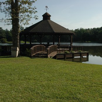AMS OUTDOOR SOLUTIONS - Lawn Services Near Me