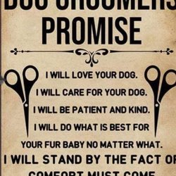 De Barros Chiropractic Clinic - My company's values and promise toy customers and their pets! #RoyalVistaPetCareServices #RoyalVistaGrooming #FearfreeGrooming