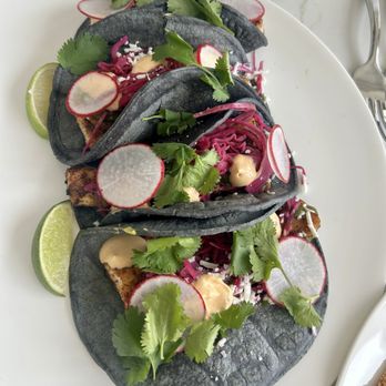 Splashes Restaurant - Mahi Mahi Tacos - New American Near Me - Laguna Beach, California Splashes Restaurant - Mahi Mahi Tacos - New American Near Me - Laguna Beach, California