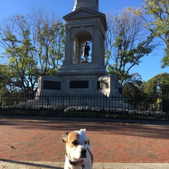 Cambridge Common Park - Parks Near Me - Cambridge, Massachusetts