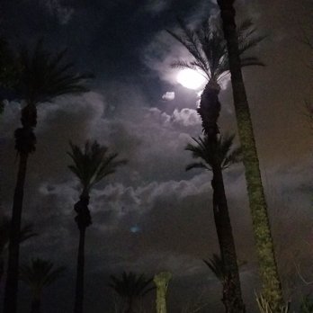 The Cree Estate - Venues & Event Spaces Near Me - Cathedral City, California