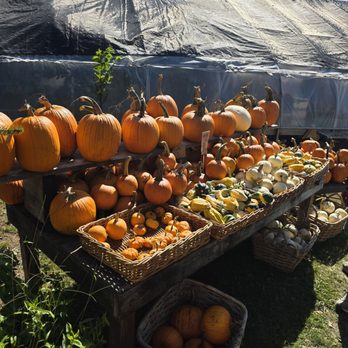 Blooming Hill Farm - Farm stand - Farmers Market Near Me - Monroe, New York Blooming Hill Farm - Farm stand - Farmers Market Near Me - Monroe, New York