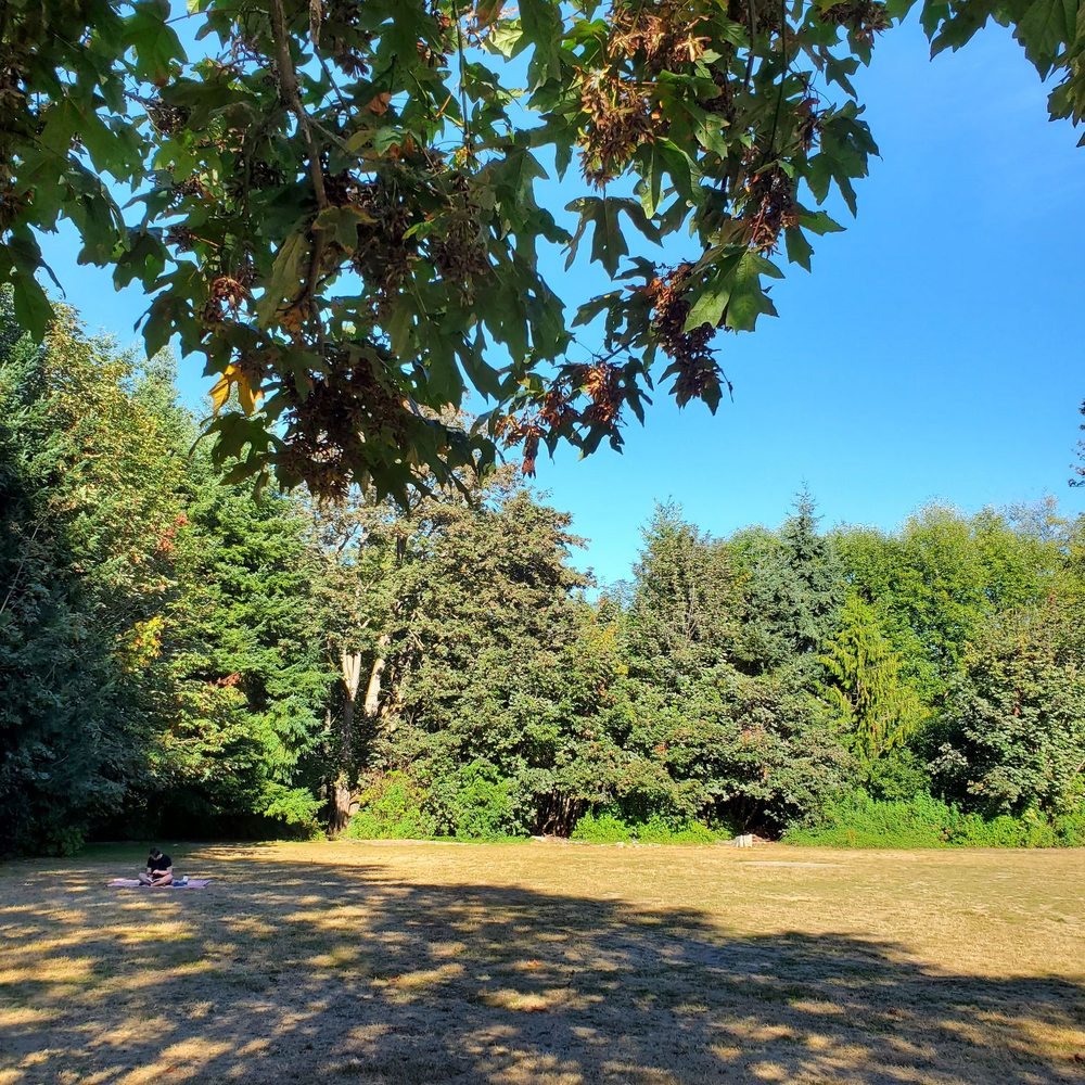 Carkeek Park - Open space - Parks Near Me - Seattle, Washington