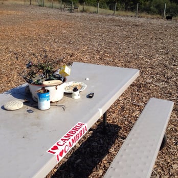 Cambria Dog Park - Dog Parks Near Me - Cambria, California Cambria Dog Park - Dog Parks Near Me - Cambria, California