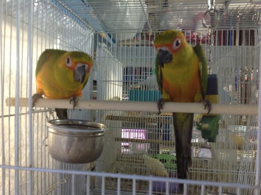 john's feed & pet supplies