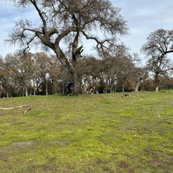 Blue Oaks Park