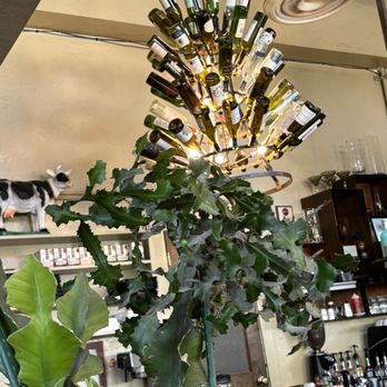 Cup Cafe - Lighting over coffee bar. - New American Near Me - Tucson, Arizona