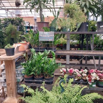 The Plant Gallery - Florists Near Me - Metairie, Louisiana The Plant Gallery - Florists Near Me - Metairie, Louisiana