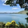Photo of Shasta Lake