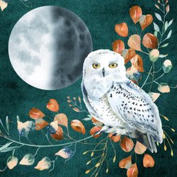 Silver Moon Adornments