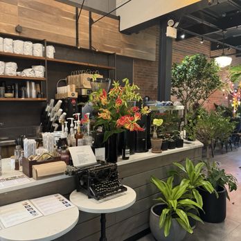 Kunst Coffee Haus - Coffee & Tea Near Me - Bayside, New York Kunst Coffee Haus - Coffee & Tea Near Me - Bayside, New York