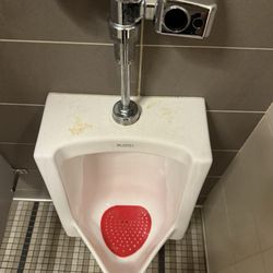 Urinal at opening time. Disgusting