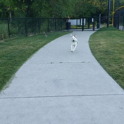 The Barking Lot Dog Park