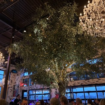 Eclipse di Luna - Alpharetta - The soaring tree and chandeliers add a magical ambiance - Wine Bars Near Me - Alpharetta, Georgia
