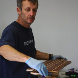Honey Skateboards - Honey Skateboards - Grand Junction, CO