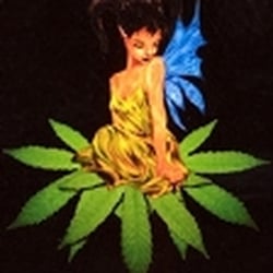 Photo of Cannabis Seeds - London, XGL, GB.