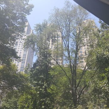 Central Park Conservancy - Parks Near Me - New York, New York Central Park Conservancy - Parks Near Me - New York, New York