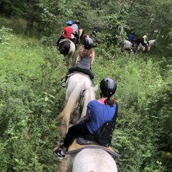 Nice trail through East Fork.