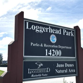 Loggerhead Marinelife Center - Community Service/Non-Profit Near Me - Juno Beach, Florida