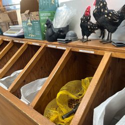 Chicken feed options