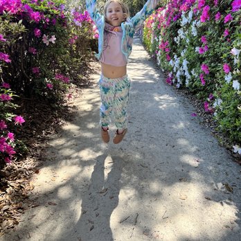 Middleton Place - Excited! - Museums Near Me - Charleston, South Carolina Middleton Place - Excited! - Museums Near Me - Charleston, South Carolina