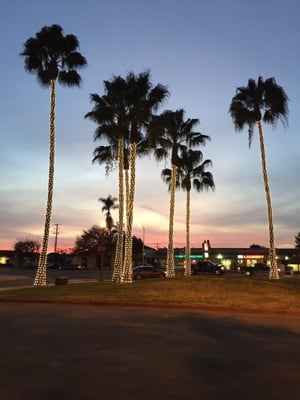 Buena Park City Manager by null