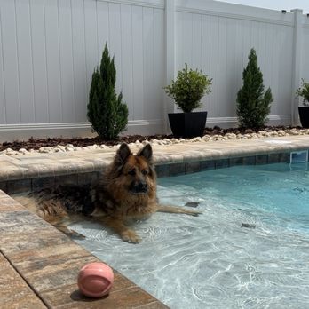 Kura Design Pools - Pool & Hot Tub Service Near Me - Ocoee, Florida