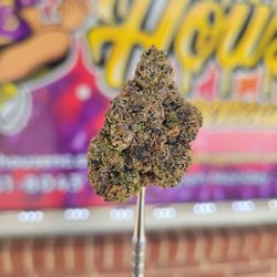 The Hippie House Cbd Dispensary