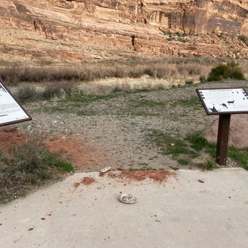 Colorado Riverside Recreation Area - Parks Near Me