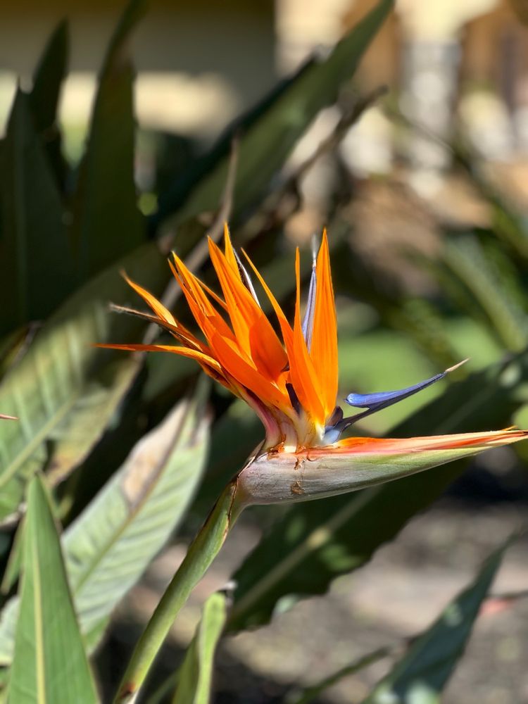 KALITHEA PARK Updated October 2024 71 Photos & 25 Reviews