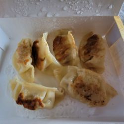 Slurp Shop - Pan Fried Pork Gyoza