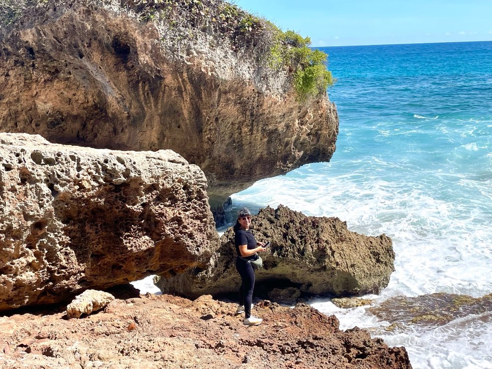 Survival Beach Image