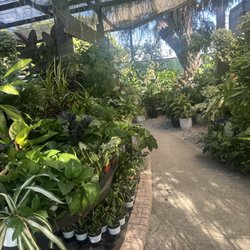 Certified Plant Growers
