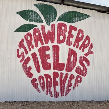 Rockberry Ranch - Pick Your Own Farms Near Me - Poteet, Texas