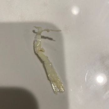 Uncle Tetsu - A piece of plastic found inside of the cake - Desserts Near Me - Hacienda Heights, California Uncle Tetsu - A piece of plastic found inside of the cake - Desserts Near Me - Hacienda Heights, California
