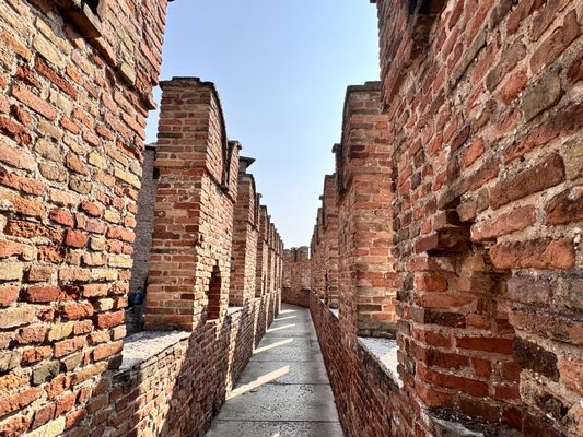 Castelvecchio Museum by null