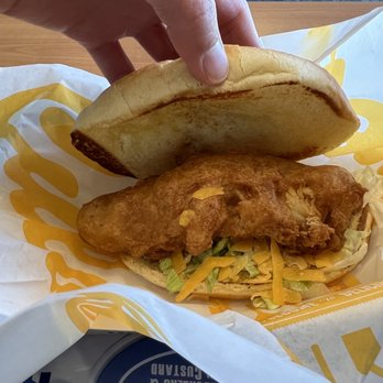 Culver's - Cod fish sandwich - Burgers Near Me - Charlotte, North Carolina