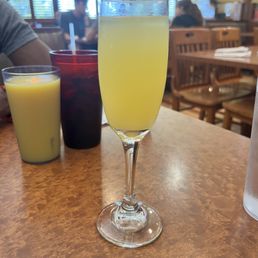 Mimosa Mimosa