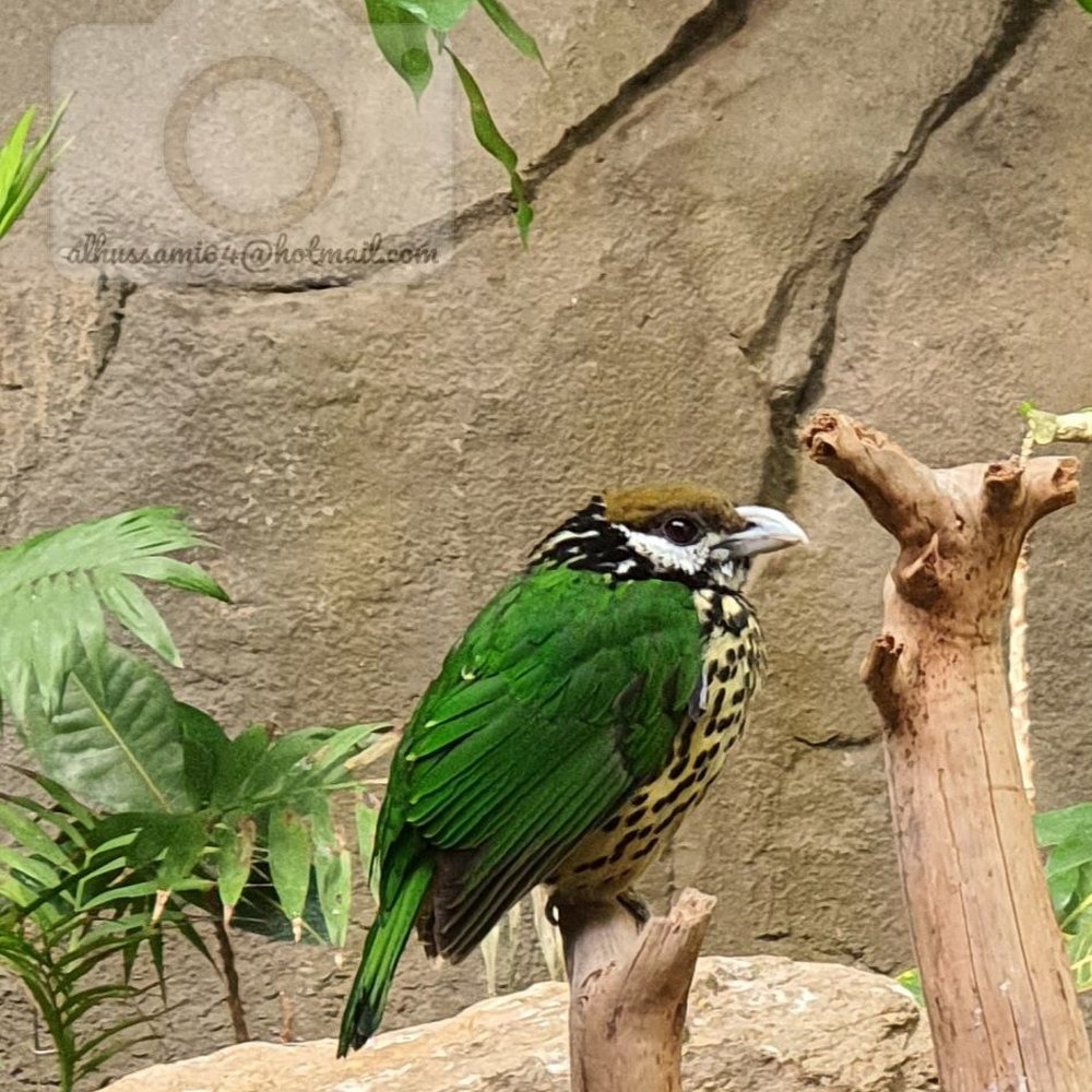 ZOO BERLIN - Zoos Near Me - Berlin, BE ZOO BERLIN - Zoos Near Me - Berlin, BE