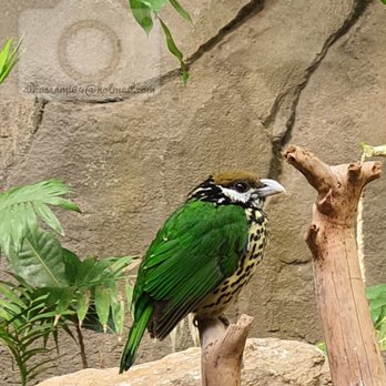 ZOO BERLIN - Zoos Near Me - Berlin, BE