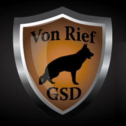 von rief german shepherds
